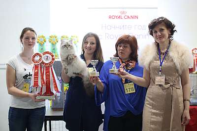   11-12  2015,    sib-186-169A5052 copy.jpg